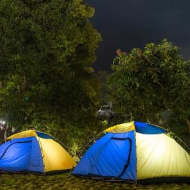 Dandeli में, होटल Dandeli Jungle Resort
