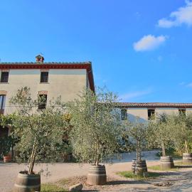 Farmhouse in Umbertide with Pool, hotel in Umbertide