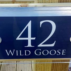 No42 Wild Goose