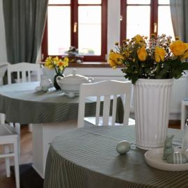 Penzion U Kapra, hotel in Roudnice nad Labem