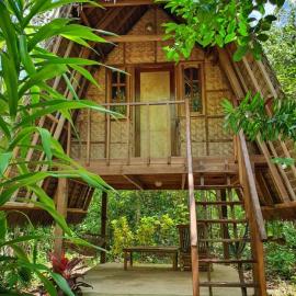 Lazy Lizard Hostel, Hotel in Siquijor