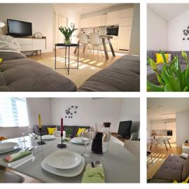 Holiday house Bleki โรงแรมในชิเบนิก