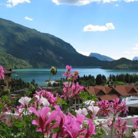 Albergo Stella Alpina, hotell i Molveno
