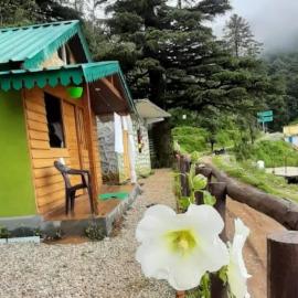 Bluepine Cottages Pangot by Nature Nests, hotel in Nainital