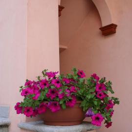 Le Petit Coin De Maison Chante Lune, hotel in Introd