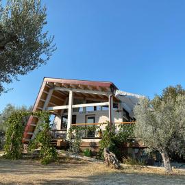 La Casa tra gli Ulivi - Cottage in legno، فندق في Pollutri