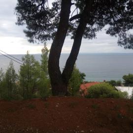 Pefkonas apartments2 100 m from the beach