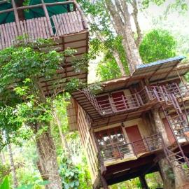 Jungle Tree House Munnar, hotel in Munnar