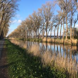 Domus Damme