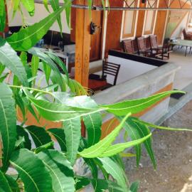 The Summer Corridor - Kataragama, hotel a Kataragama