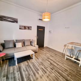 Les Saules Studio Wifi Clim Gare Centre