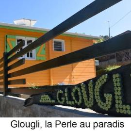 Gite à 2 pas de la flamboyante plage de La Perle