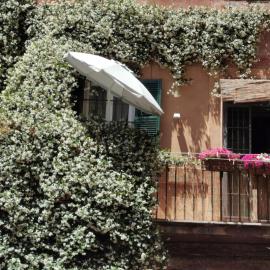 Apartments Campo de Fiori: Roma'da bir otel