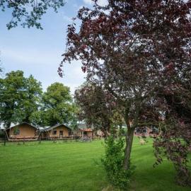 Buiten aan de Baak, hotel in Steenbergen