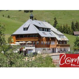 Ferienwohnung-Feldberg-in-der-Pension-Gloecklehof