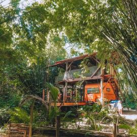 Cabana do Tarzan na Praia de Parati Mirim