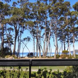 Sea Eagle at Roaring Beach, hotel in Surveyors Bay
