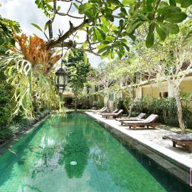 Sapodilla Ubud