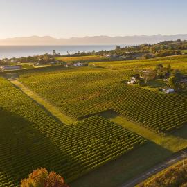 Kina Beach Cottages, hotell i Tasman