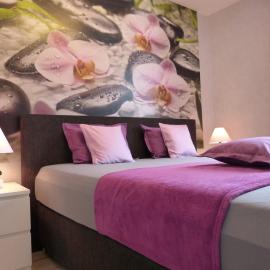 4 Sterne App Orchidee Whirlpool IR-Sauna Fitnessraum kinderfreundlich Bikeraum – hotel w mieście Hahnenklee-Bockswiese
