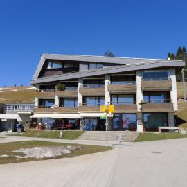 Apartment Margherita Bütler by Interhome, Hotel in Rigi Kaltbad
