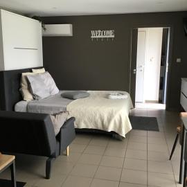 Studio Gardenroom Guesthouse De Steenberg met wellness & tuinzicht，赫爾的飯店