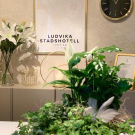 Ludvika Stadshotell, hotell sihtkohas Ludvika