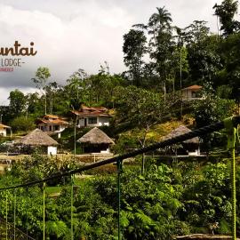 AMUNTAI RAINFOREST LODGE, hotel in Palora
