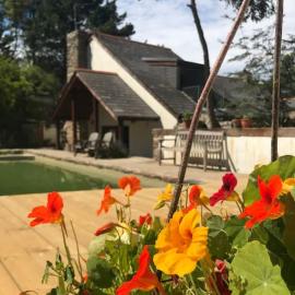 Pennans Cottage, hotel en Cubert