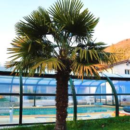 Chambre double "le pêcher" saillans, hotel em Saillans