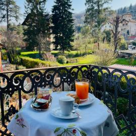 Albergo Garrè, готель у місті Savignone