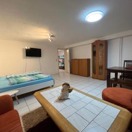 Sions große Ferienwohnung Ferienwohnung mit 3 Schlafzimmer, 2 km bis zum Europapark Rust