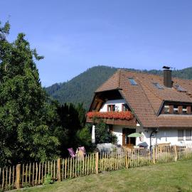 SchwarzWild - Ferienwohnung und Ferienzimmer