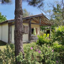 Chalet rénové, environnement très calme, piscines intérieure et extérieure chauffées, Bord du lac de Biscarosse Parentis, hôtel à Parentis-en-Born