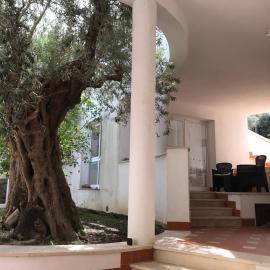 L’Ulivo, hotel u gradu Belvedere