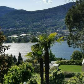 Casa le palme -Montagnola, hotel din Collina d'Oro