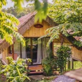 3 Pok Maewang jinxiang Gold elephant park, hotel in Ban Mae Sapok Noi