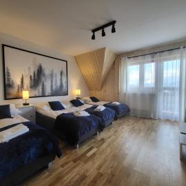 Apartament z widokiem na panoramę Tatr "AppWidokowa9"