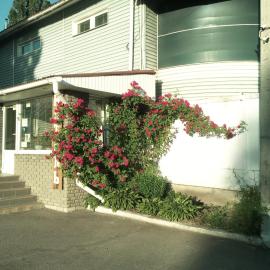 motel Pid Strihoyu, hotelli kohteessa Krementšuk