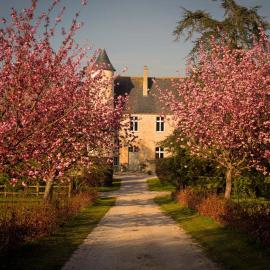 CHATEAU DE MONFREVILLE