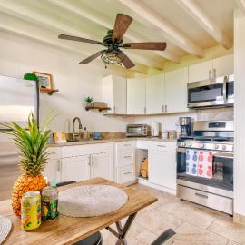 NEW - Pineapple Loft - Entire House Downtown Hilo with AC, Hotel in Hilo