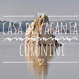 Casă de vacanță Danube, hotel i Moldova Nouă