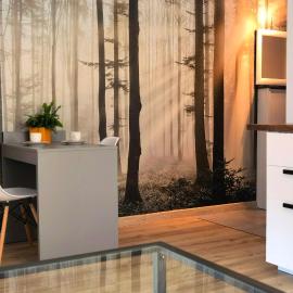 Apartament Sosnowa