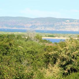 T1 Goose Valley with Sea View