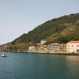Donibanea