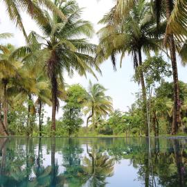 Priti Garden Farmstay, Kelwa Palghar -4 BR farmhouse with pool, pond, games,bbq – hotel w mieście Māhīm