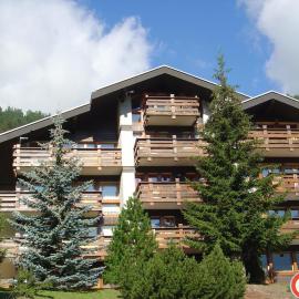 Apartment Grand Vallon, hotel em Grimentz