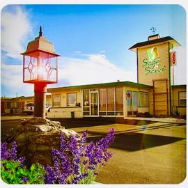 Sage N Sand Motel โรงแรมในโมเสสเลค