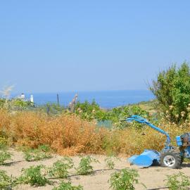 Alkyonis Apartment Milos