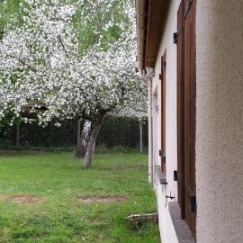 Maison dans un cadre verdoyant pour amoureux de grands espaces, hotell i Nogent-sur-Vernisson